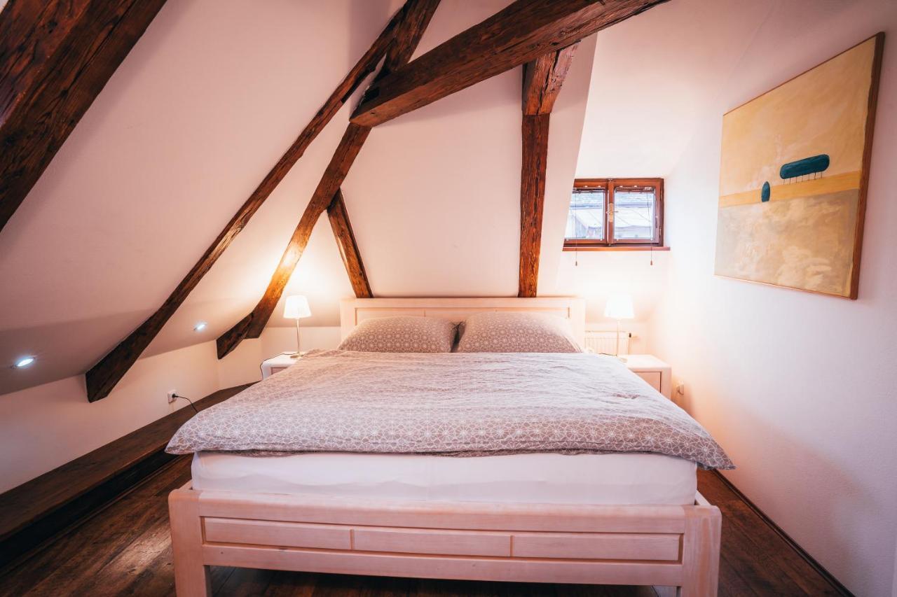 Designer Loft Apartment Чешки Крумлов Екстериор снимка